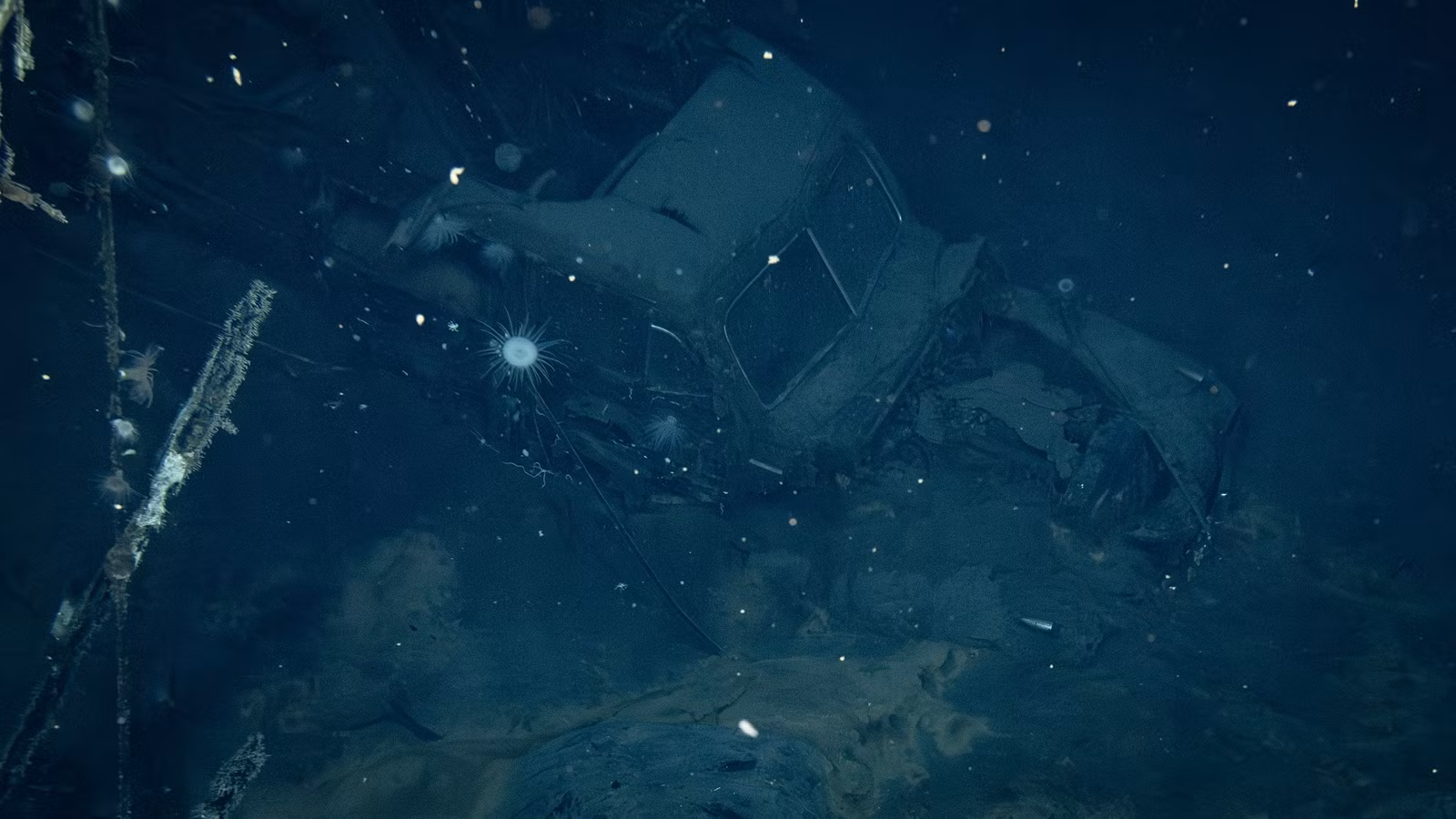A Flathead-Era Ford Woody Sitting Under Water For 83 Years Is The Mother If All Barn Finds