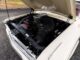 The Forgotten Ford That Won Daytona And Raided The Drag Strip The Same Year