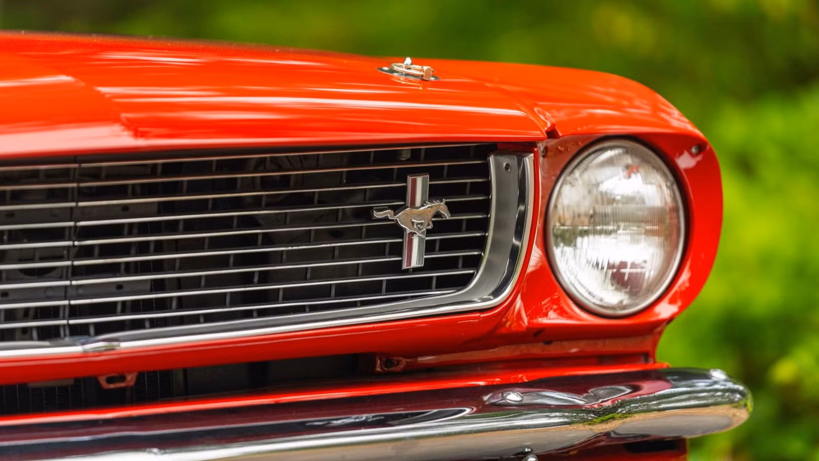 The Shelby Mustang Carroll Built For A Kingston Trio Singer