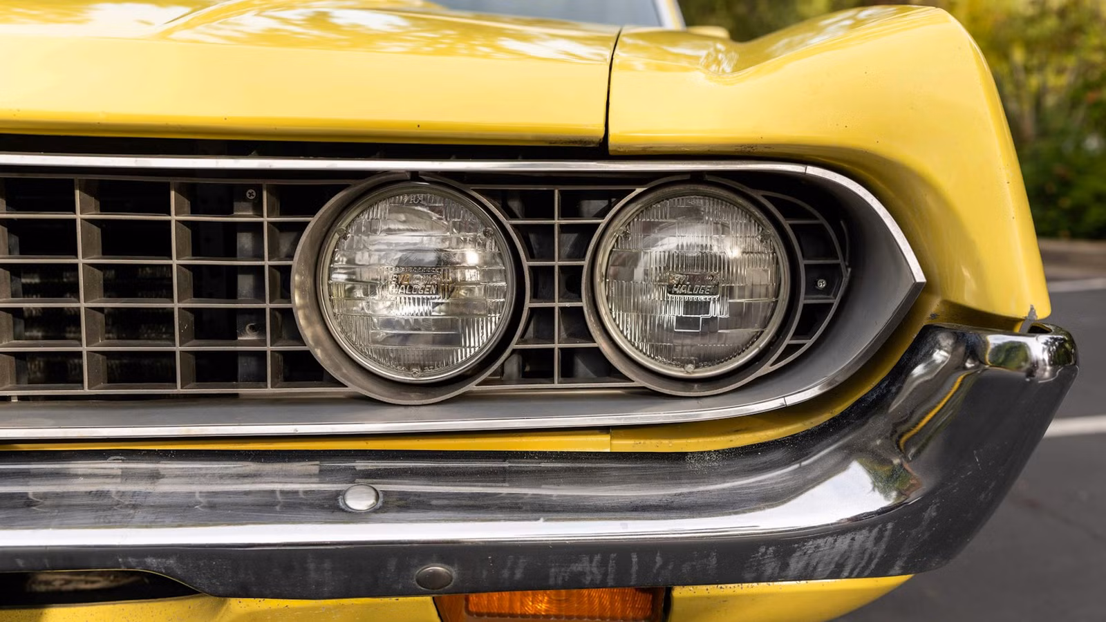 The Ford Race V8 So Dominant It Got Outlawed, Then Hidden In Rancheros