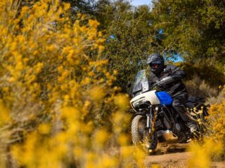 The Harley-Davidson That Finally Wins Over Skeptics