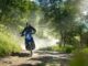 The Most Beginner-Friendly Dual-Sport Motorcycle