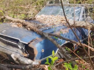 After 50 Years, Woman Finally Found Her Rare Dodge Dart In The Woods