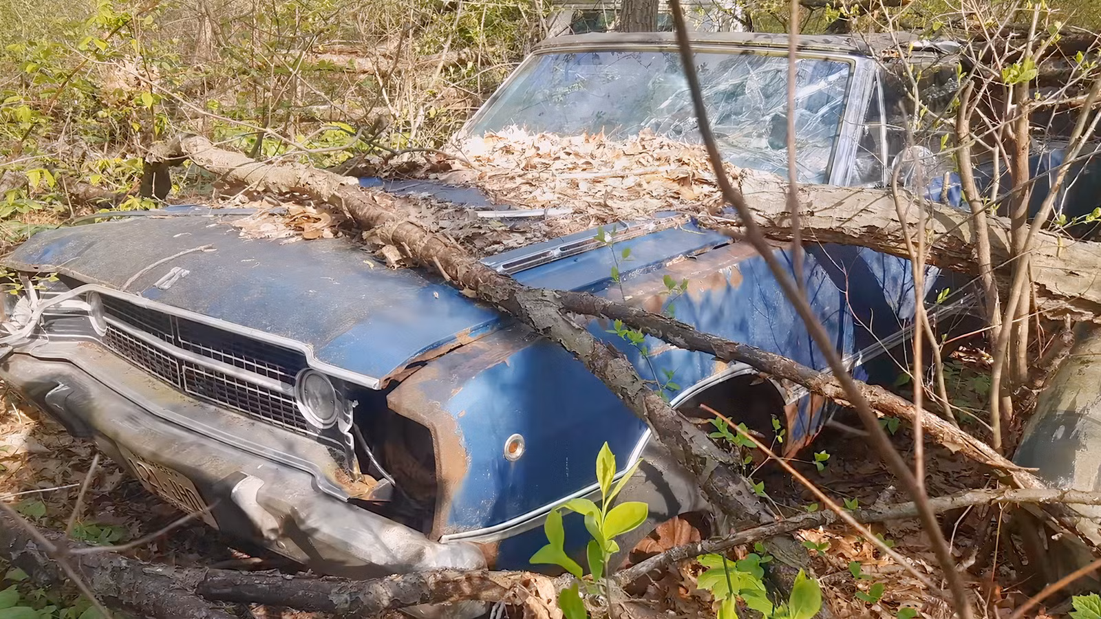 After 50 Years, Woman Finally Found Her Rare Dodge Dart In The Woods