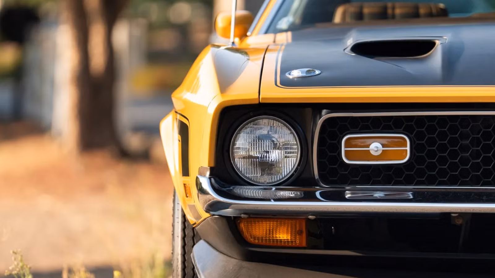 The Performance Car Built Right Before Everything Changed