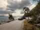Volvo Cars Q2 2026: executing in a very challenging environment