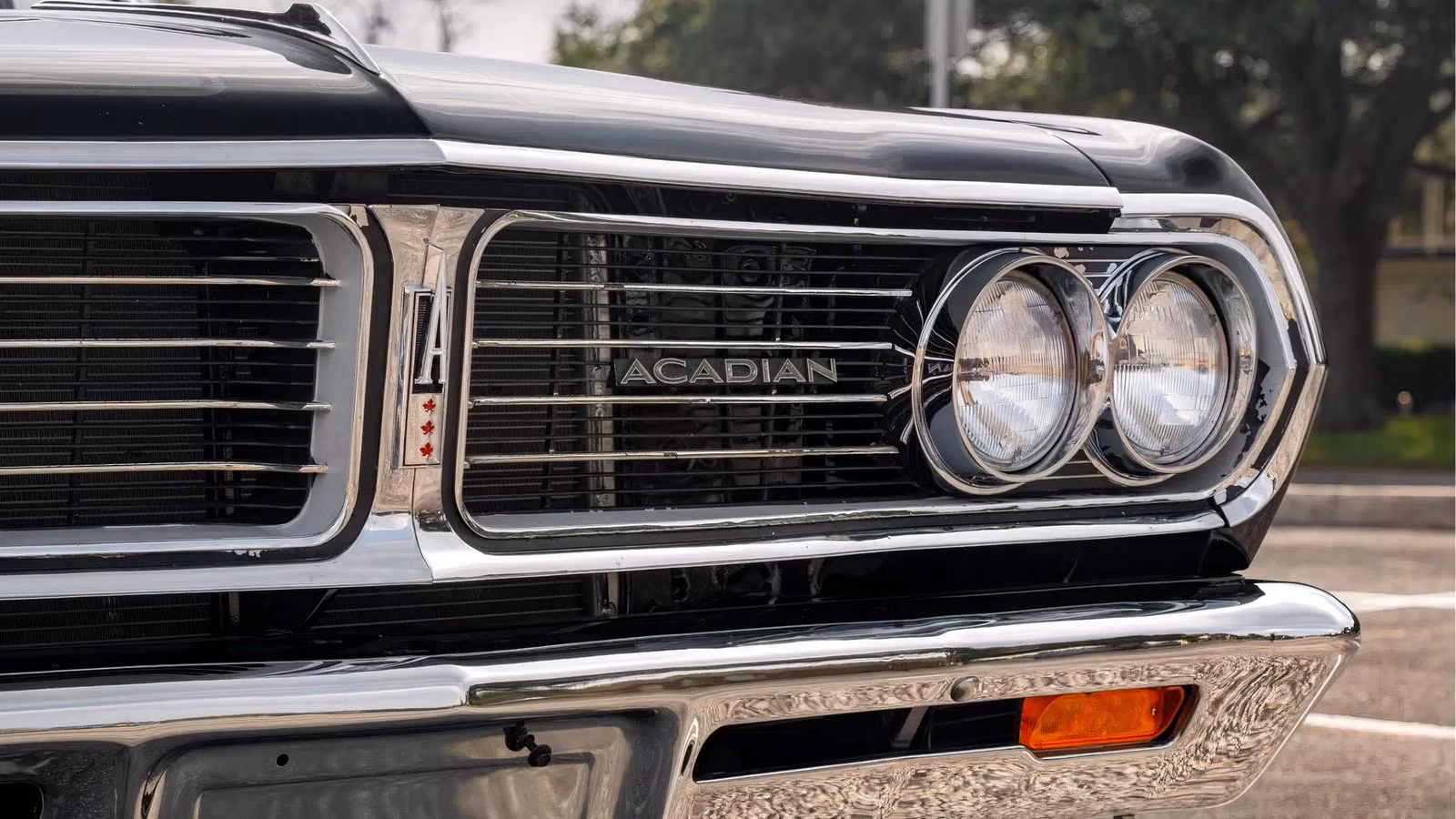 The Muscle Car TikTok Hasn't Discovered Yet
