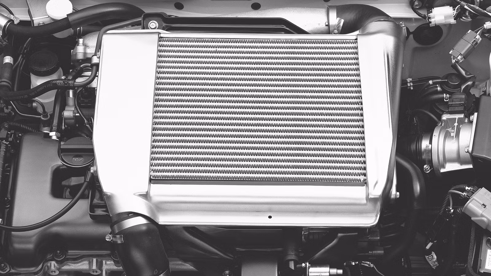 The Nissan Hot Hatch You've Never Heard About Was A Proper Supercar Killer