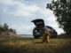 Volvo Car USA encourages drivers to buckle up every member of the family – including fourlegged ones
