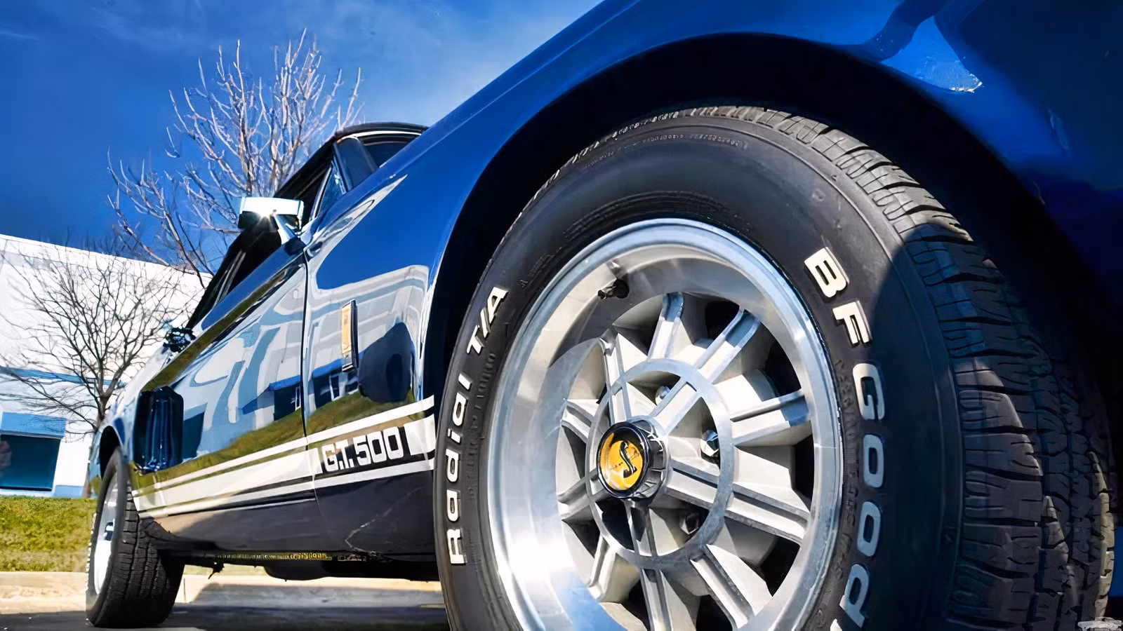 The 1967 Shelby Convertible That A Theft Accidentally Saved From The Crusher