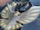 6.0-Liter LS V8, Modern Fuel Injection, Classic Pontiac Muscle: This ’80 Trans Am Could Sell For $50,000