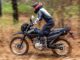 2026 Honda XR150L First Look: An Old-School Dual-Sport At Heart