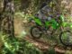 This Approachable Dual-Sport Is Basically A Dirt-Bike With Lights