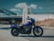 The Harley Cruiser That Riders Never Seem to Outgrow