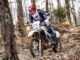 The Motorcycle That Is Surprisingly Cheap To Keep On The Road