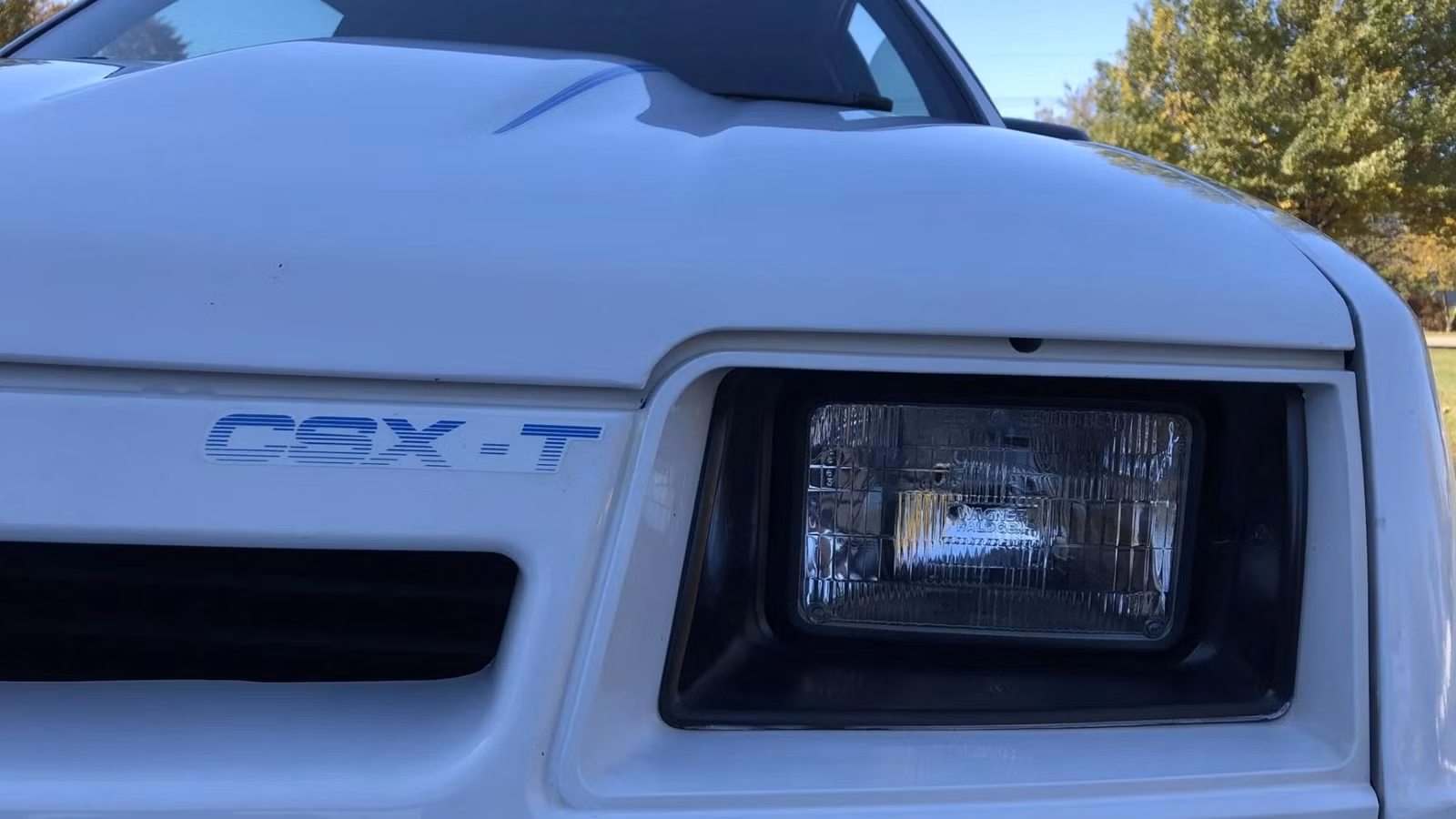 The Detuned Shelby Dodge Built Specifically For A Rental Car Counter