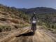 The Cheap Adventure Bike That Makes A Used BMW GS Look Like A Financial Mistake