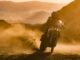 2027 Ducati DesertX V2 Rally Confirmed in CARB Filings