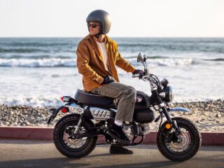 Honda Monkey Buyer's Guide & Everything You Need To Know