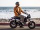 Honda Monkey Buyer's Guide & Everything You Need To Know