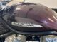 The Sleeper Harley-Davidson With Sports Car DNA