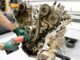 The Timing Chain Was The Least Of This 180,000-Mile 2022 F-150 EcoBoost Engine's Problems